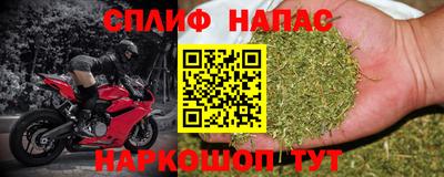 ГАЛЛЮЦИНОГЕННЫЕ ГРИБЫ Ачхой-Мартан