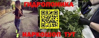 ALPHA PVP Аша