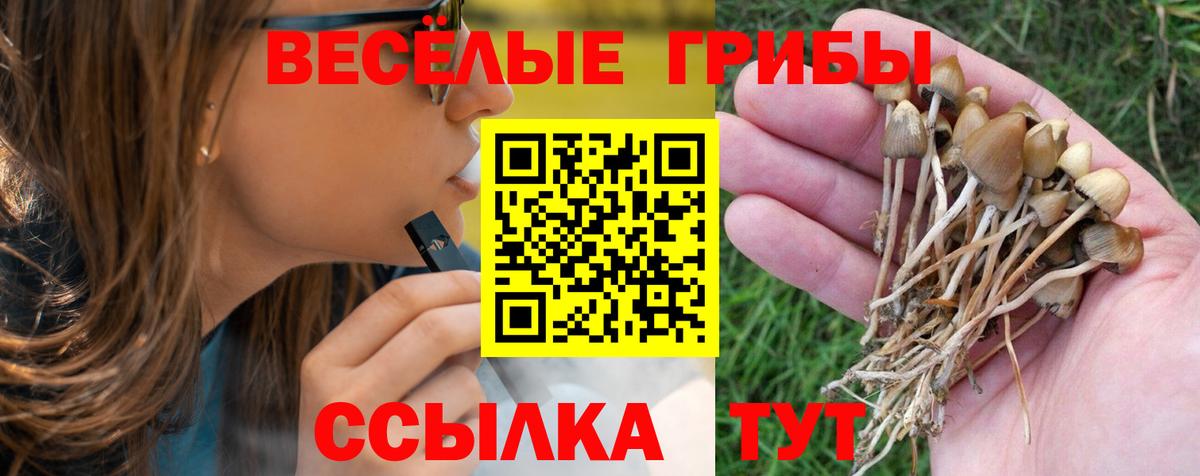 Псилоцибиновые грибы мицелий Белгород