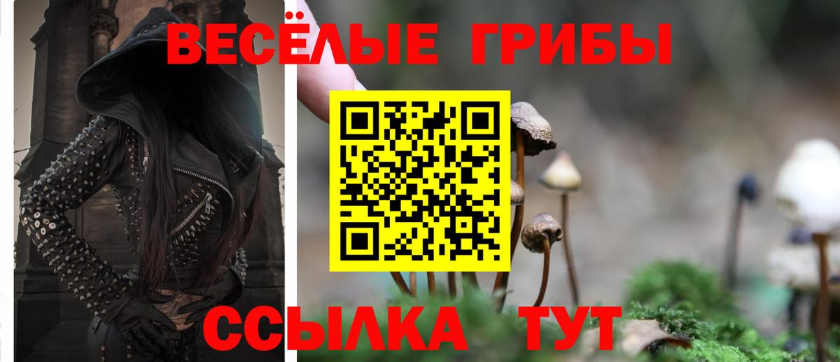 Белгород  Псилоцибиновые грибы мухоморы  Вход с VPN 